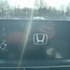 2023 Honda Pilot EX-L